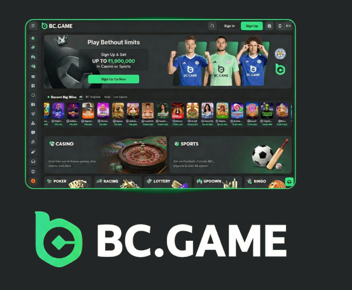 Ultimate Guide to BC.Game Mirror for Players